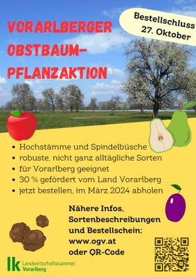 Vorarlberger Obstbaumpflanzaktion 2023-2024