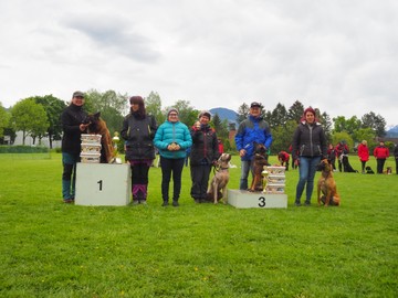 Hundesportverein RANKWEIL -VHV Gruppenturnier