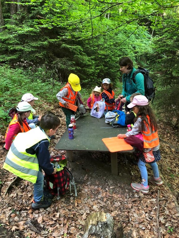 Waldtag©Kindergarten Viktorsberg