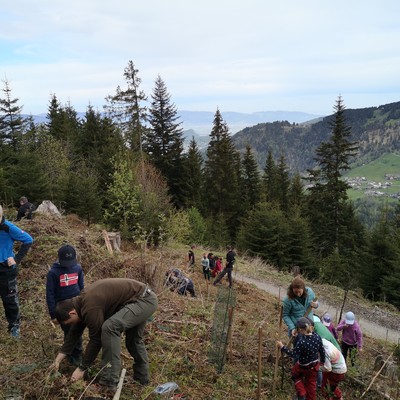 Unser Wald - Unsere Zukunft!